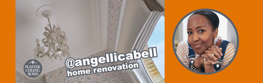 ANGELLICA BELL HOUSE RENOVATION