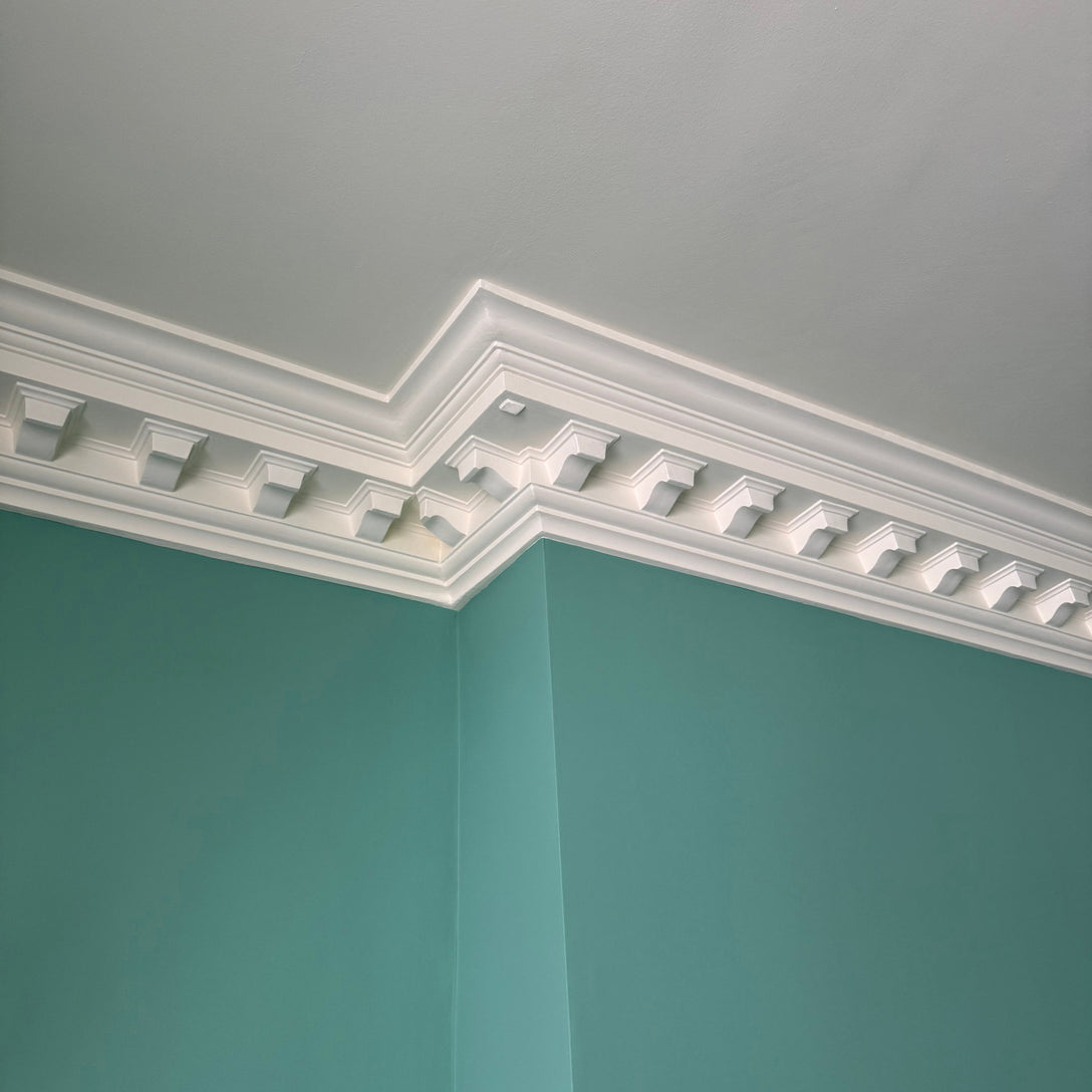 large dentil plaster victorian coving