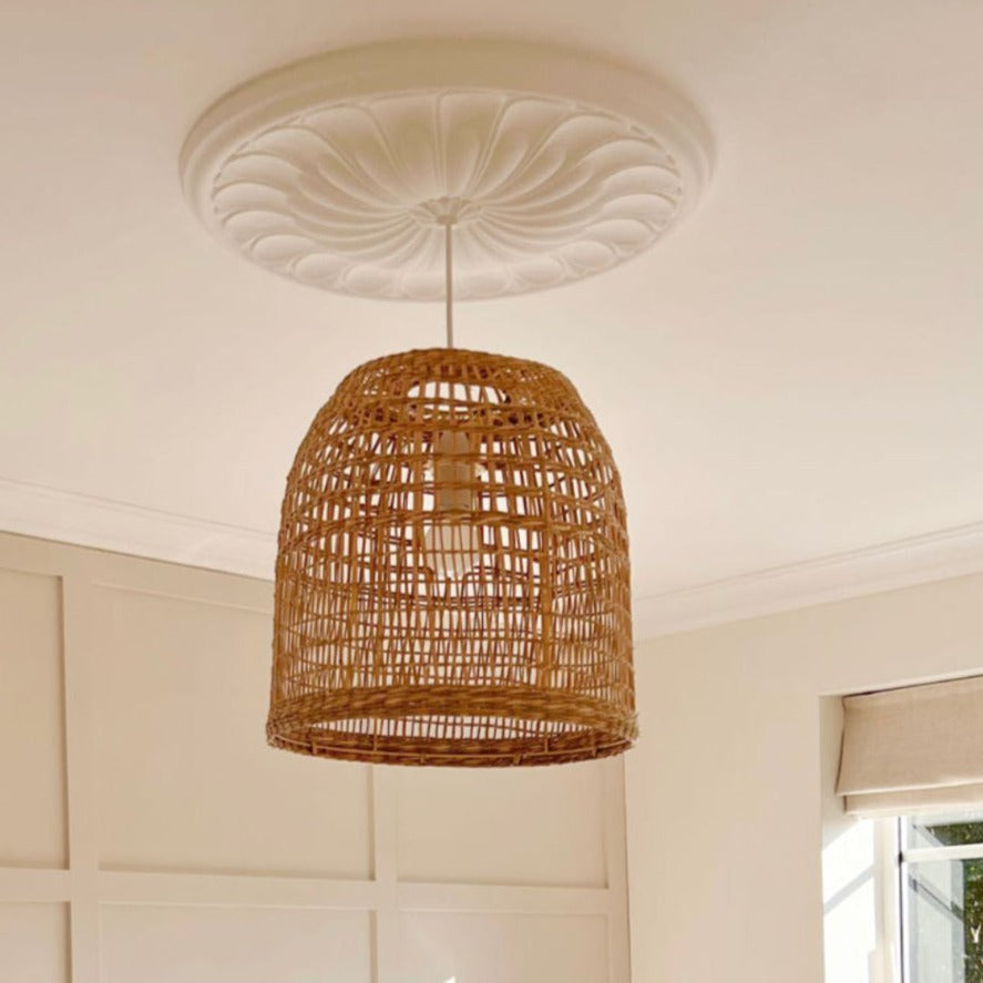 photo showing Plaster Ceiling Rose with a basket style lighting fixture.
