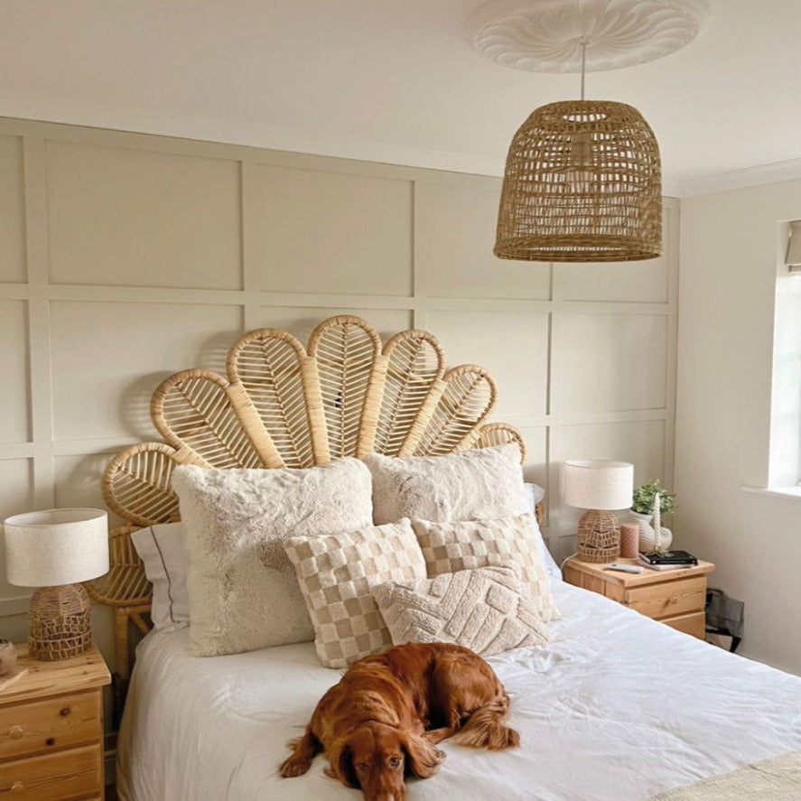 photo of art decor with paneling detail and floral plaster ceiling rose featuring woven accents and pet.
