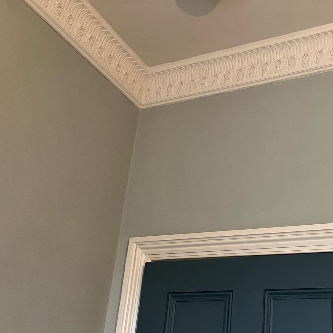 corner joint of floral plaster coving above blue door