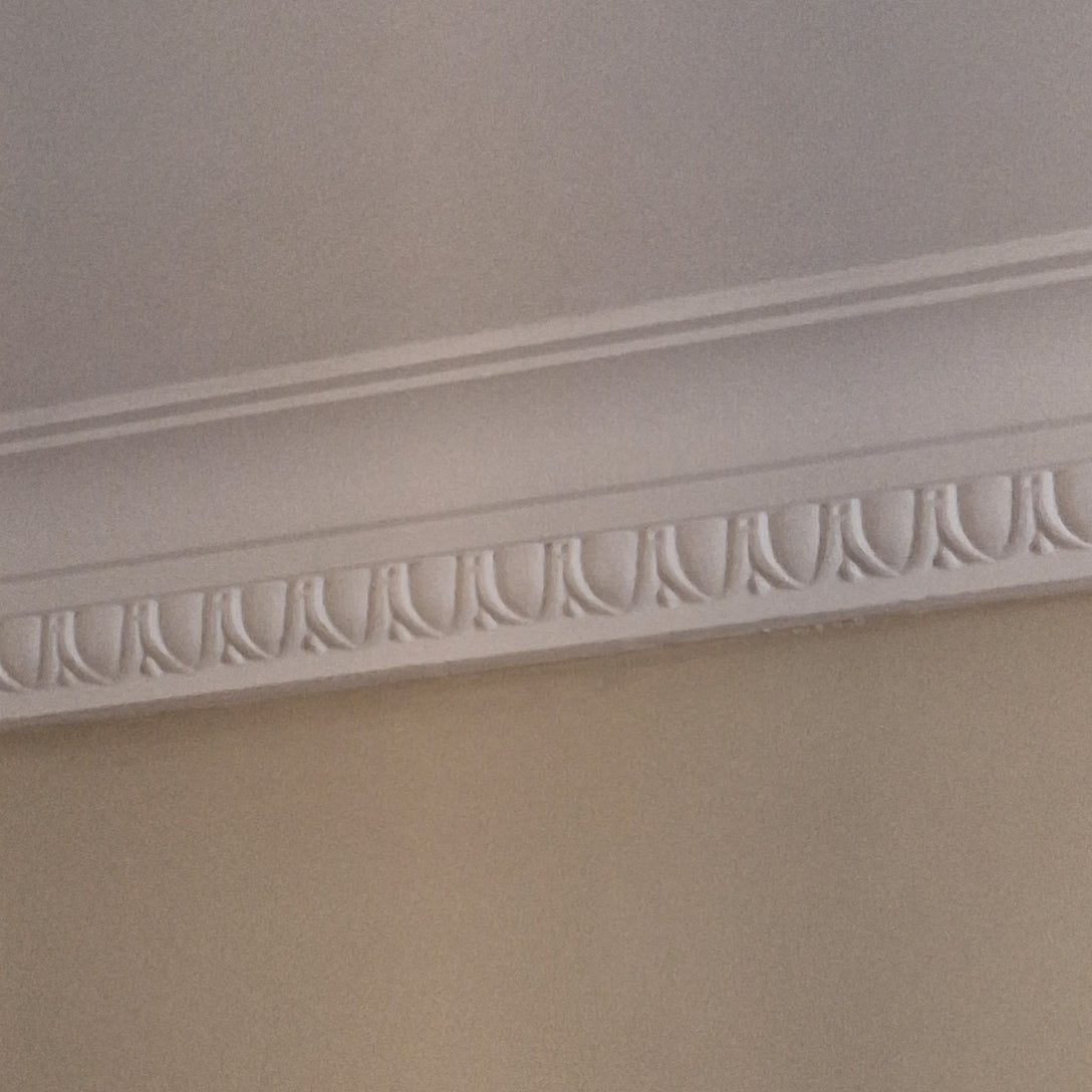 close up of egg and dart plaster cornice
