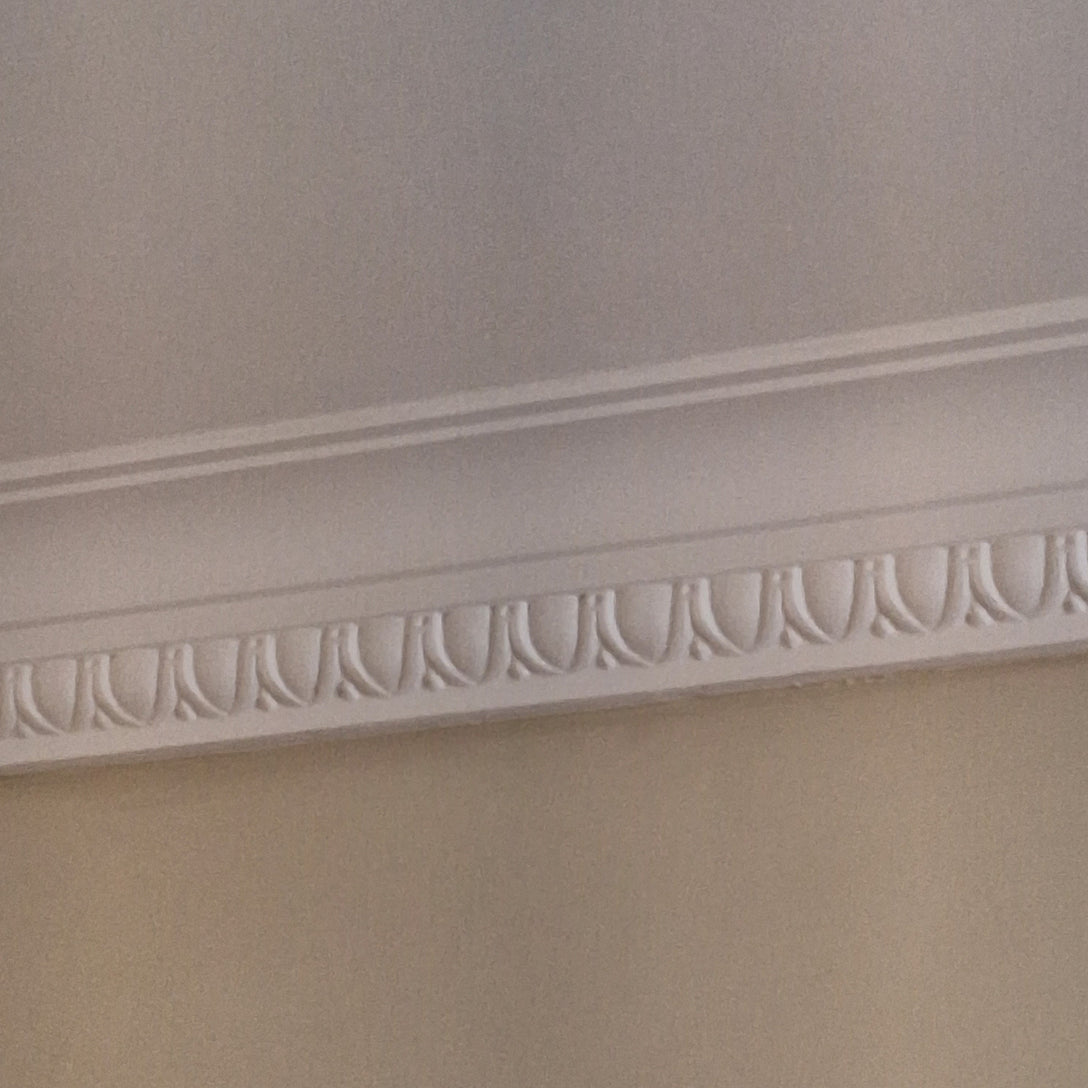 aspect of egg and dart victorian plaster cornice