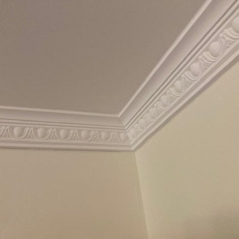 corner section of egg and dart plaster cornice