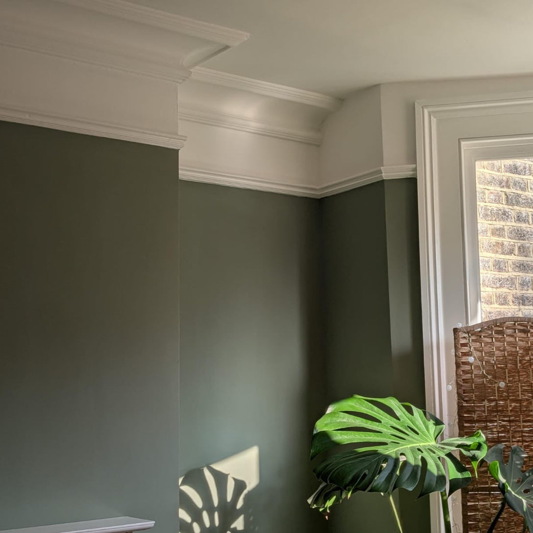 Victorian Plain Cornice Cheltenham 145MM MPC078