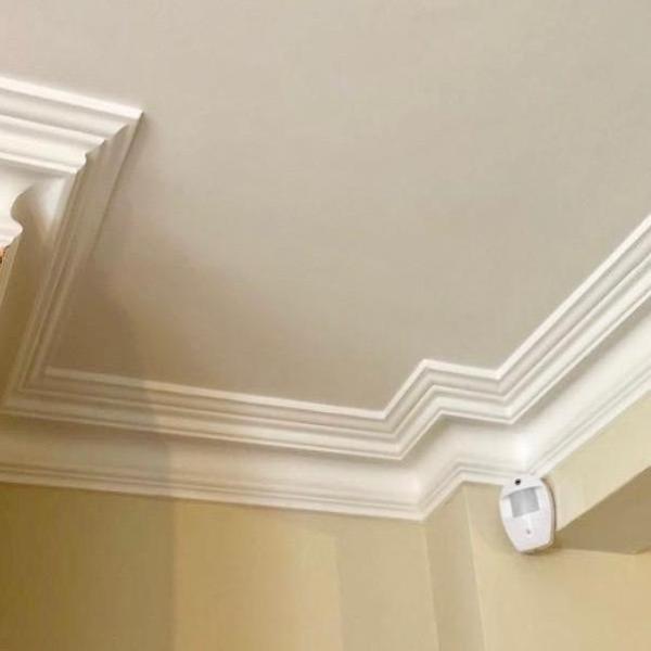 aspect of swan neck 100mm plaster coving section