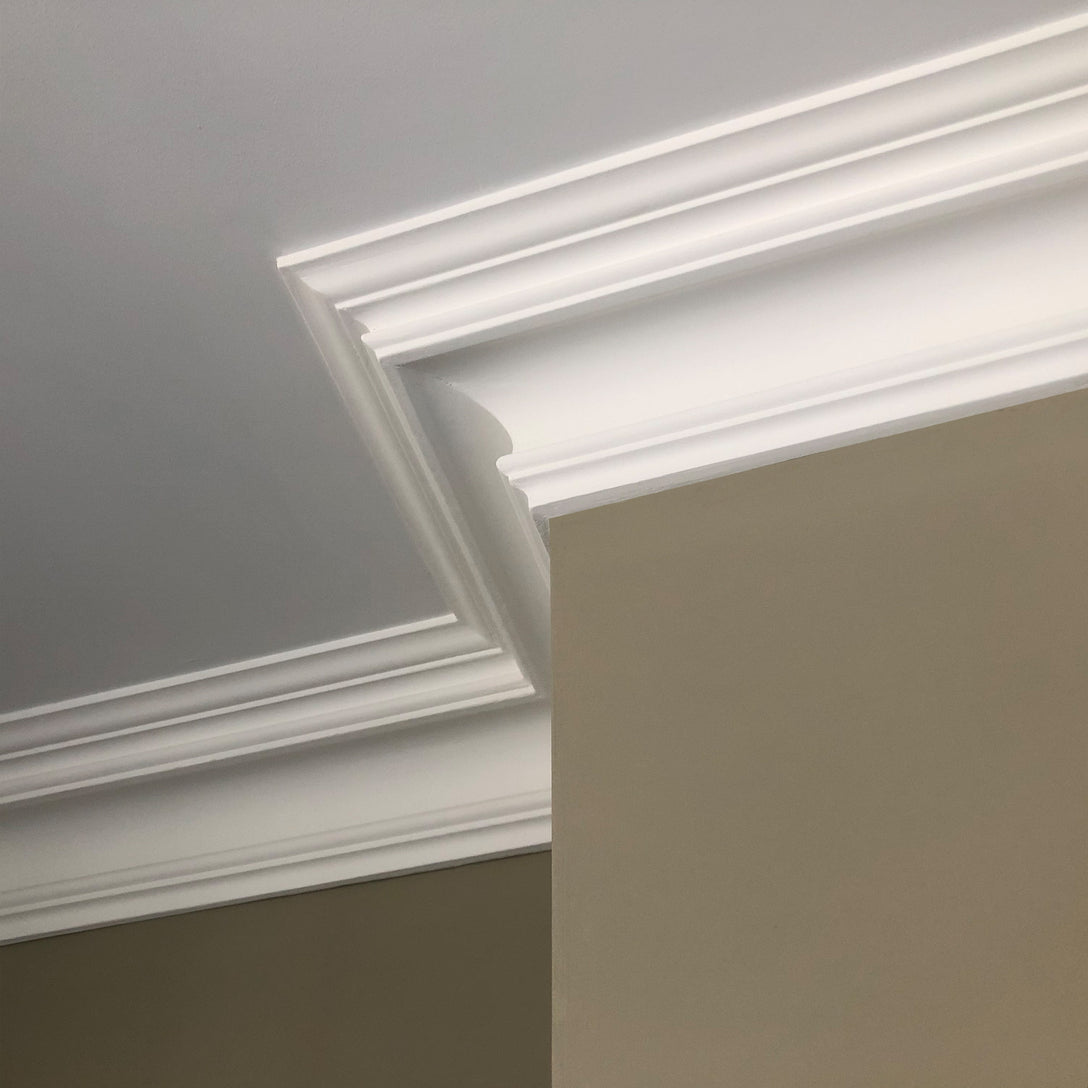 detailed image showing Swan Neck Plaster Coving details 125mm