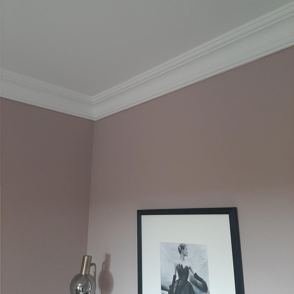 A section of Victorian plaster coving in a pink room - 120MM