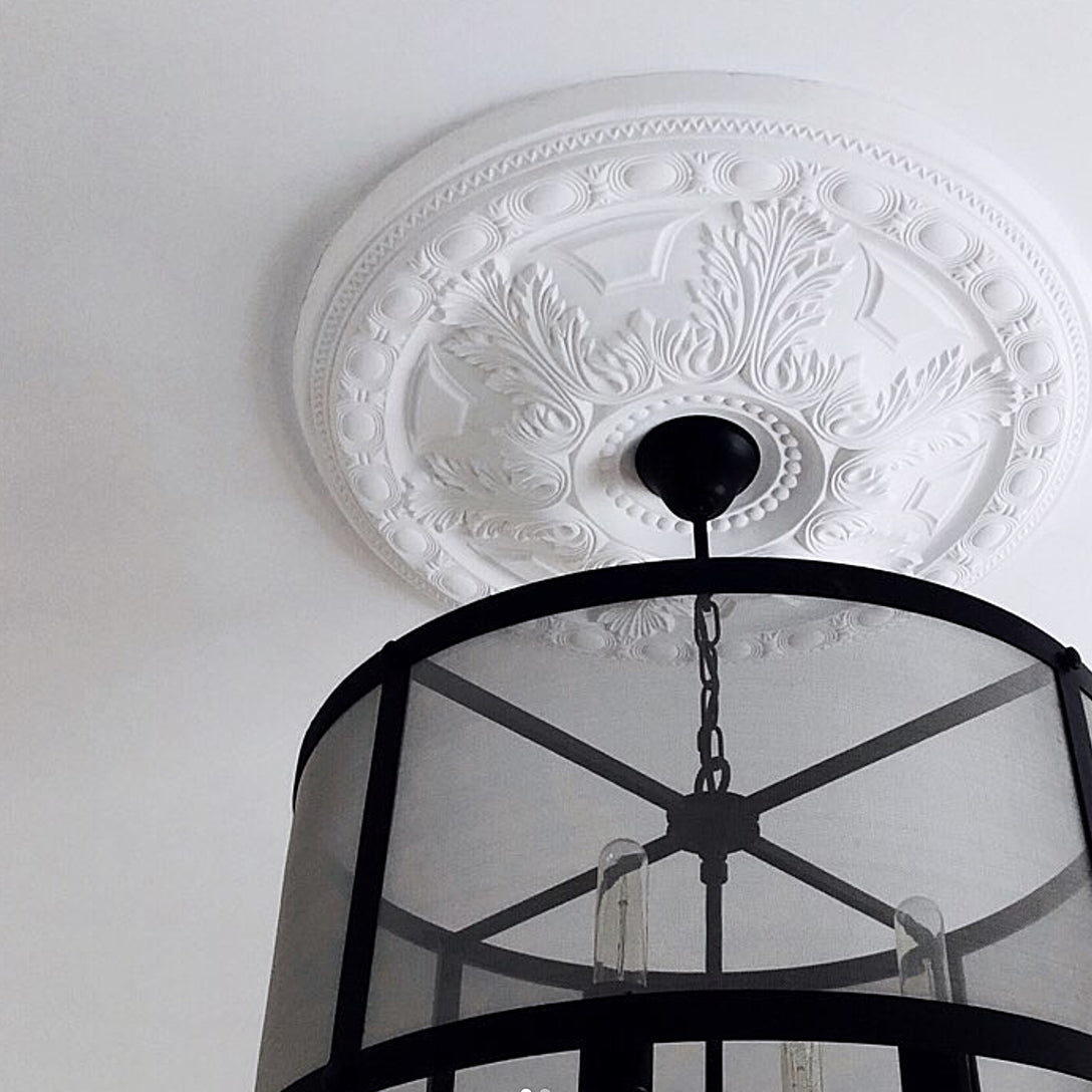 Large Acanthus Leaf Plaster Ceiling Rose natural lighting