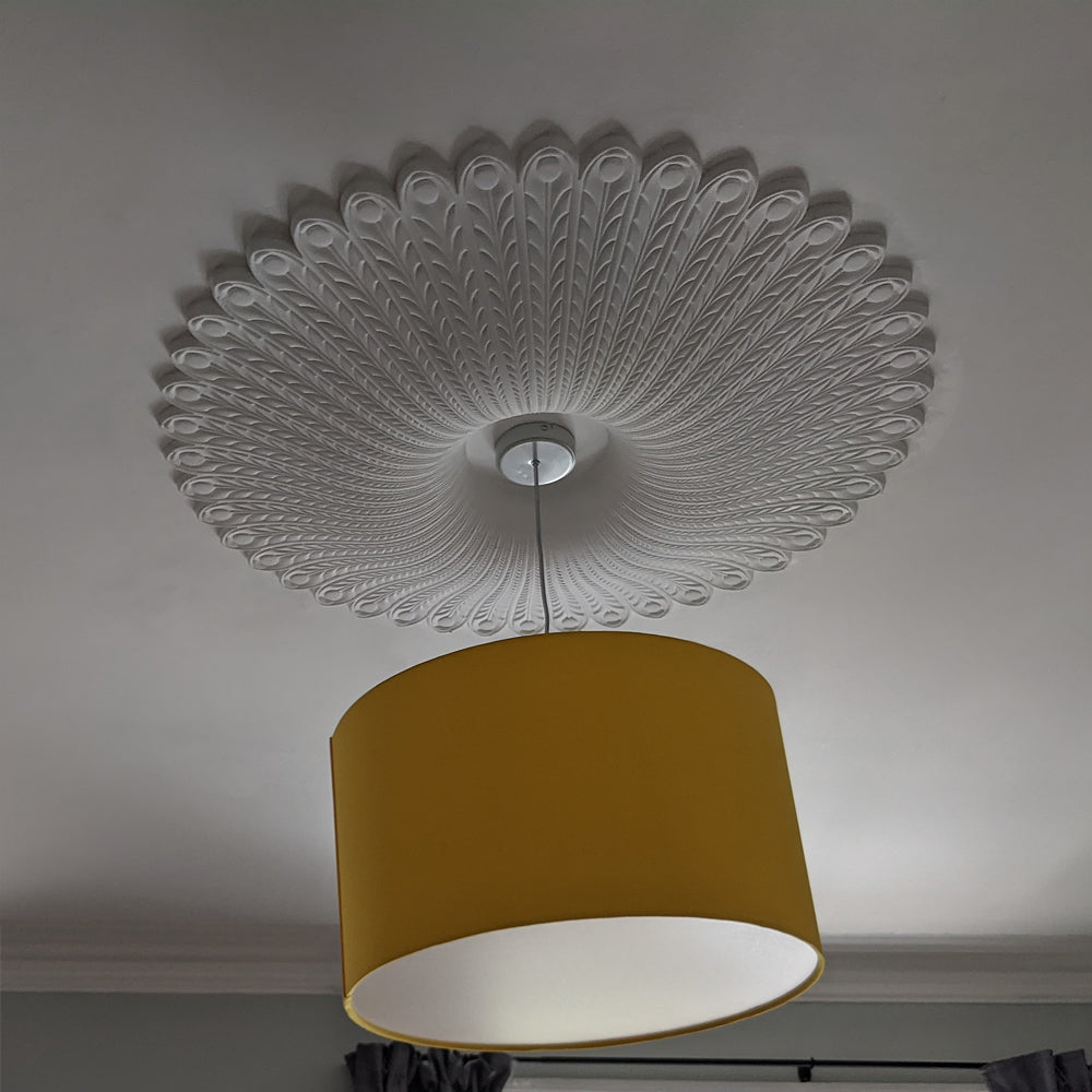 example of Large Ornate Georgian Plaster Ceiling Rose fitted with light