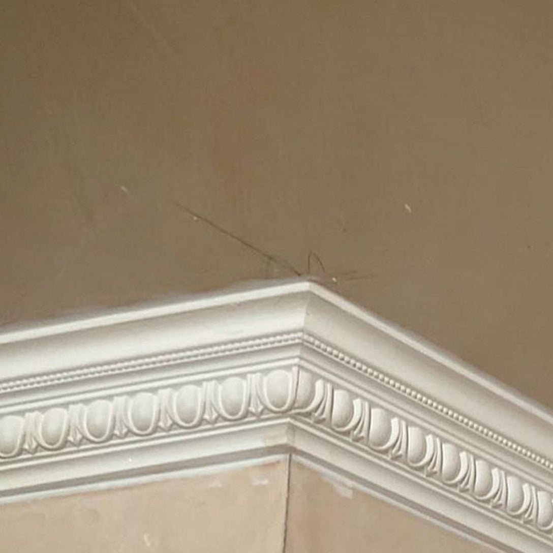 Egg & Dart cornice corner