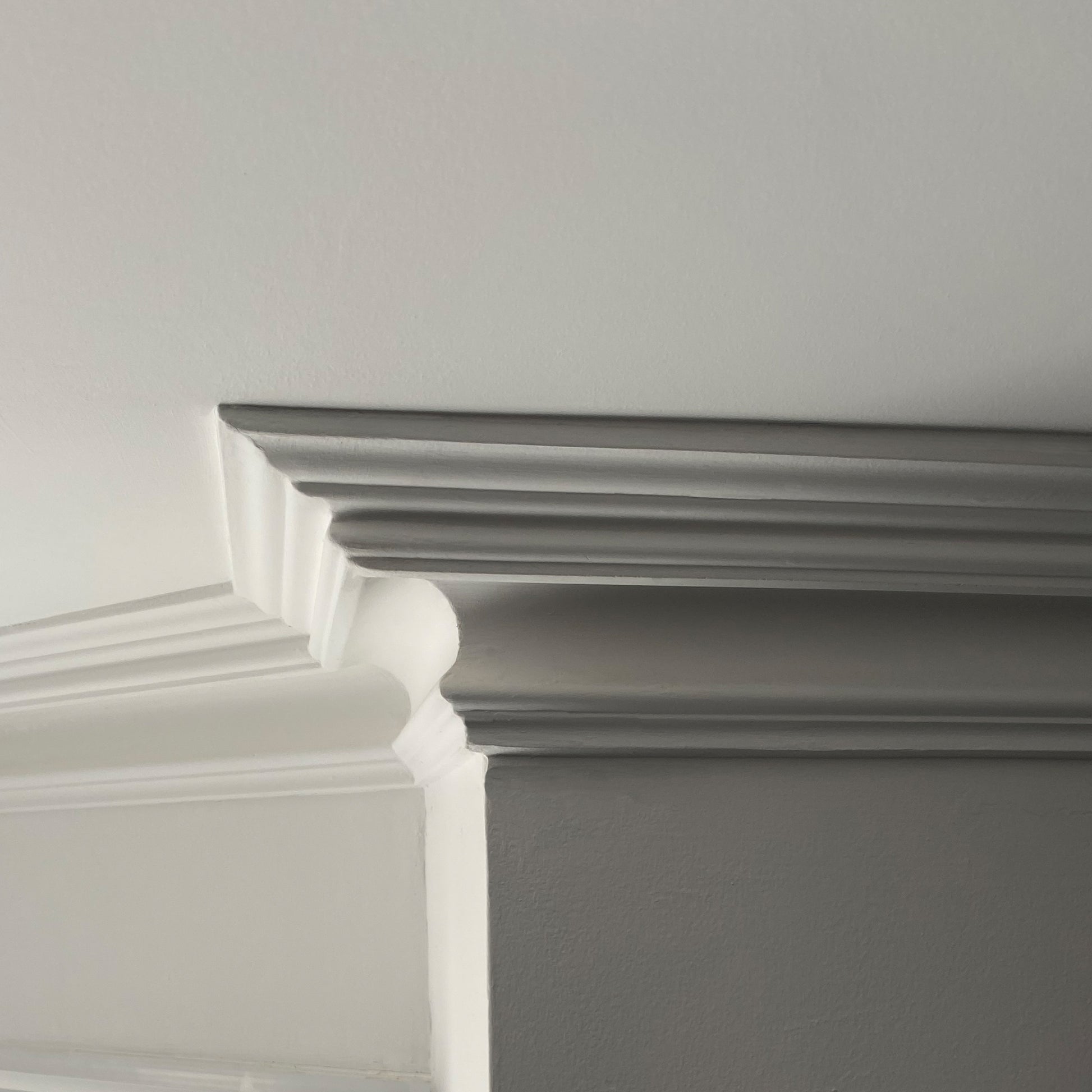 close up photo showing swan neck Plaster Coving section 100mm