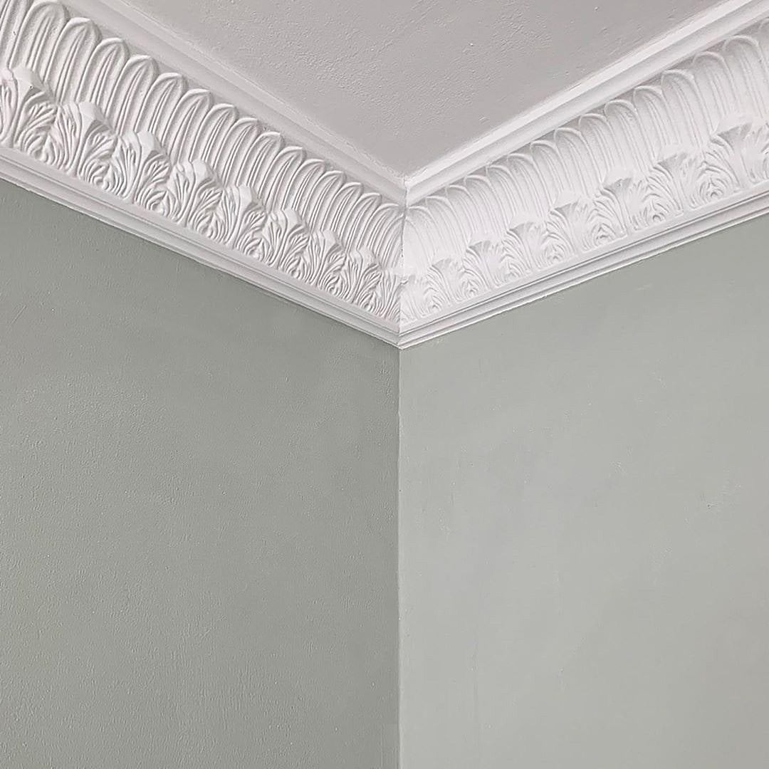 Acanthus and Plain Leaf Plaster Coving Drop 122MM MPC074 - PlasterCeilingRoses.com