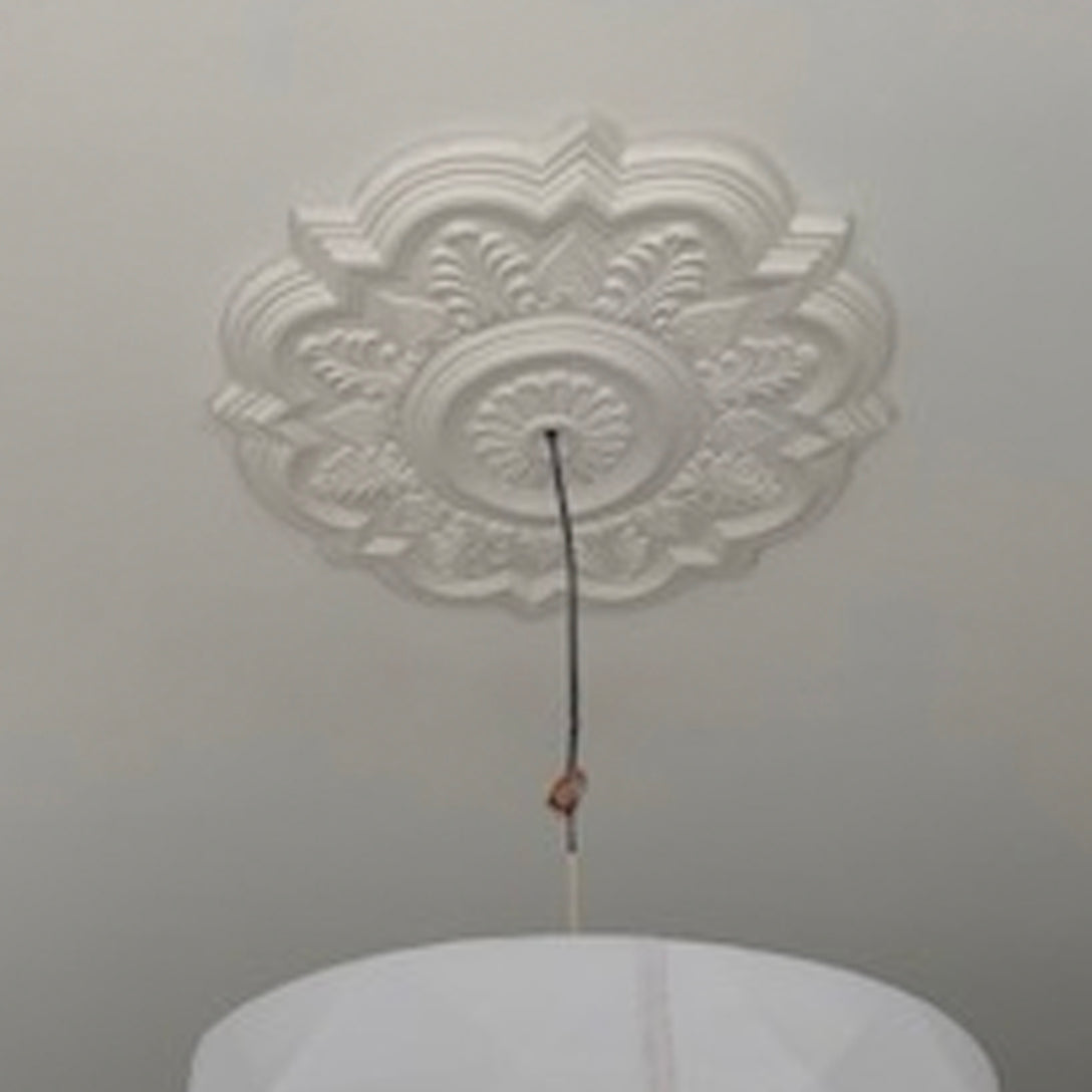 Palmette Plaster Ceiling Rose in white room