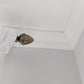 Small coving detailing in room corner