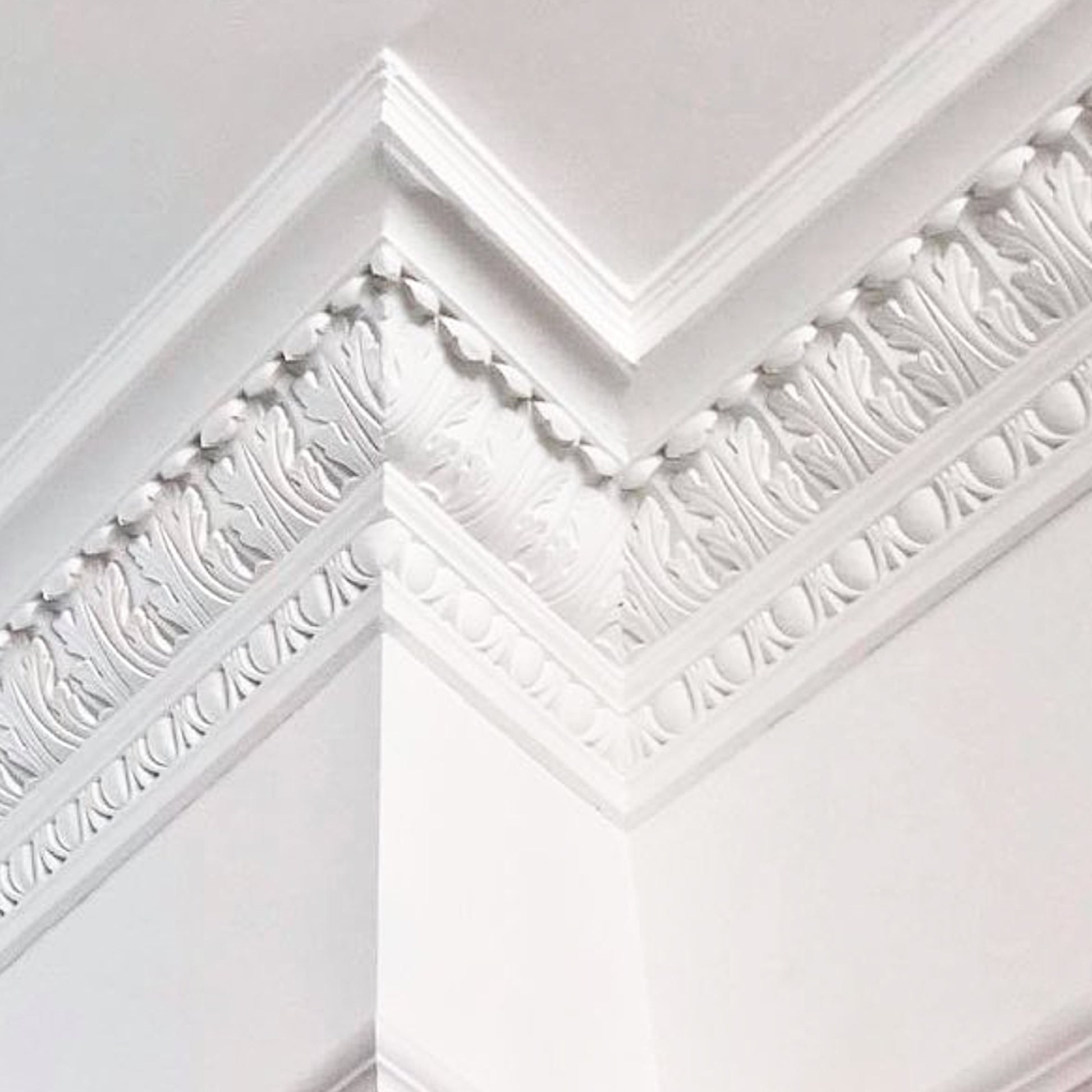 a section of floral Victorian Plaster Cornice - 235mm Drop