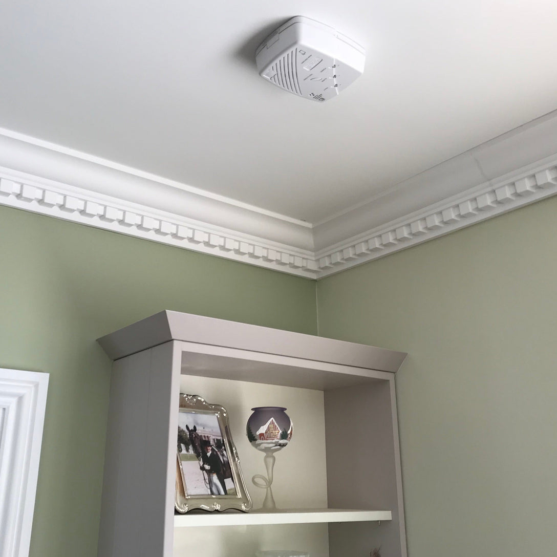Dentil coving in study
