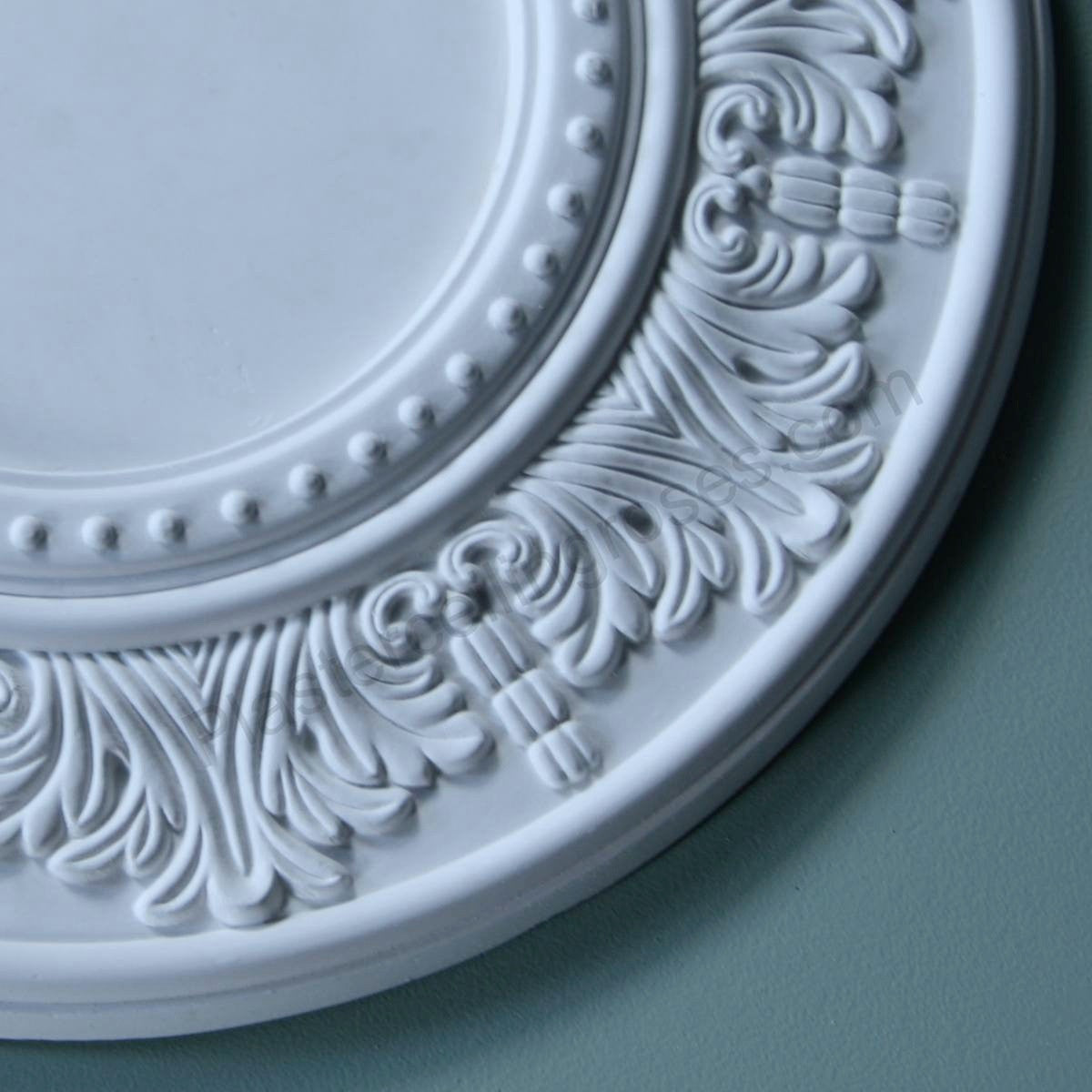 close up image of palmette plaster ceiling rose details