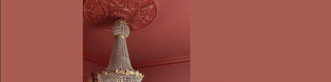 Colour drenched plaster ceiling rose. 