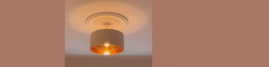 Modern plaster ceiling rose