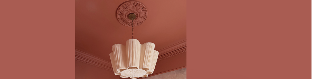 Colour Drenched Victorian Plaster Ceiling Rose.