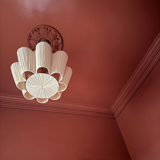 victorian ornate plaster ceiling rose painted pink
