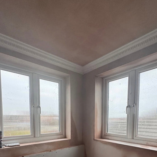 bathroom during coving instillation project
