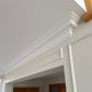 Swan Neck Plaster Coving 130mm LPC030