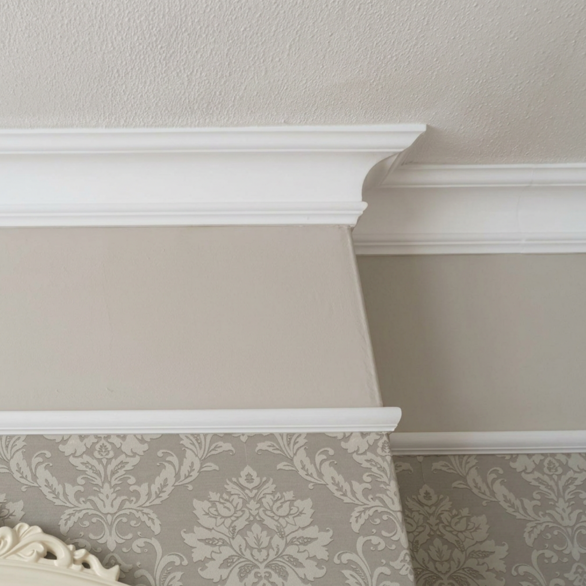 Swan Neck Plaster Coving Installed in Modern Interior