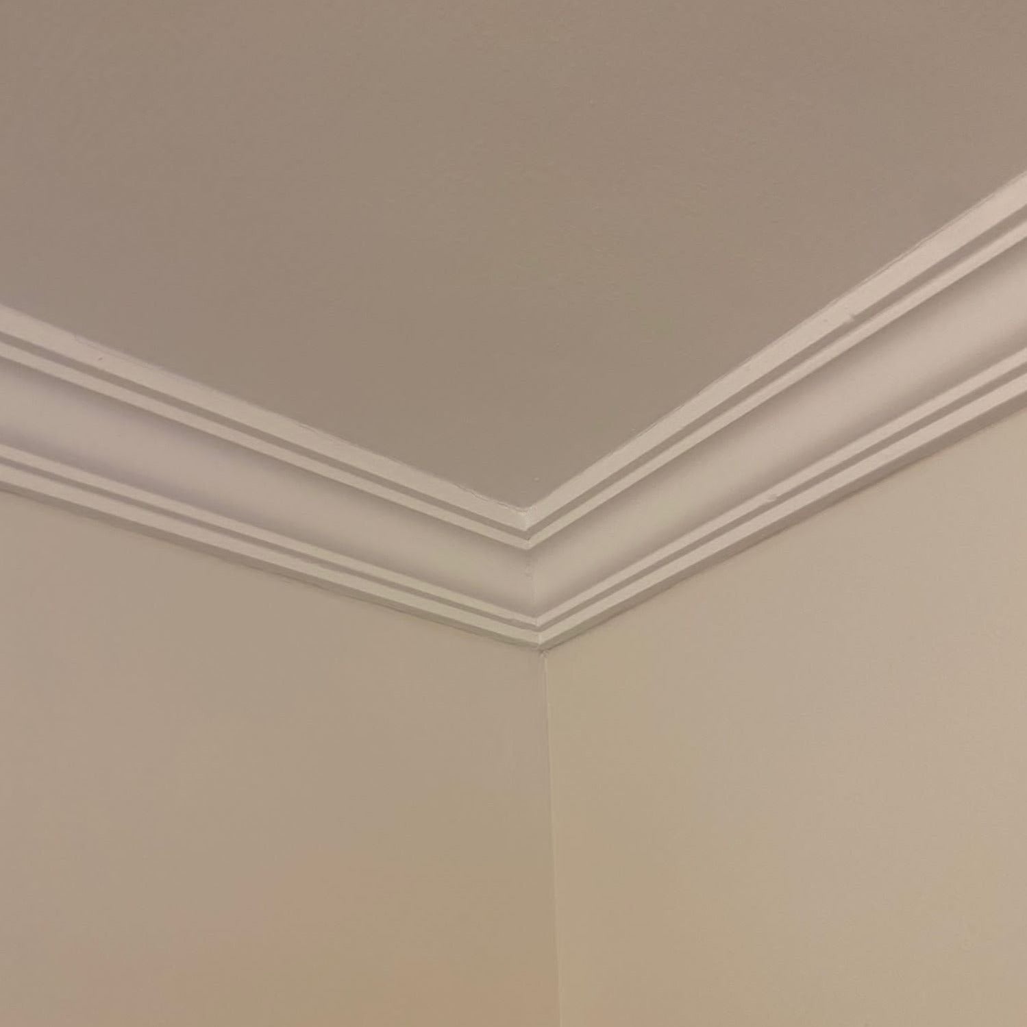 corner joint of victorian plaster ceiling roving