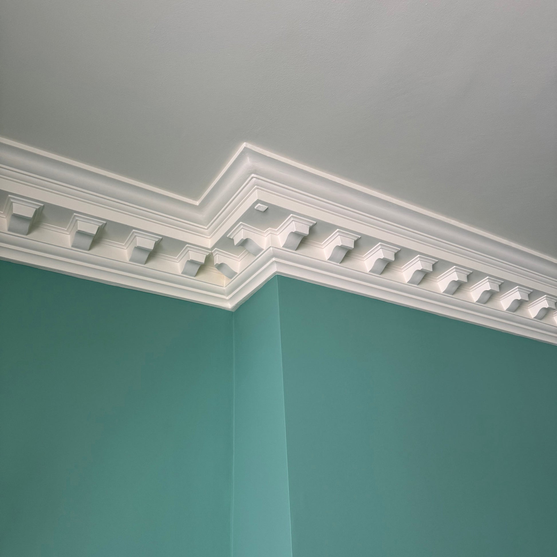 large dentil plaster victorian coving 