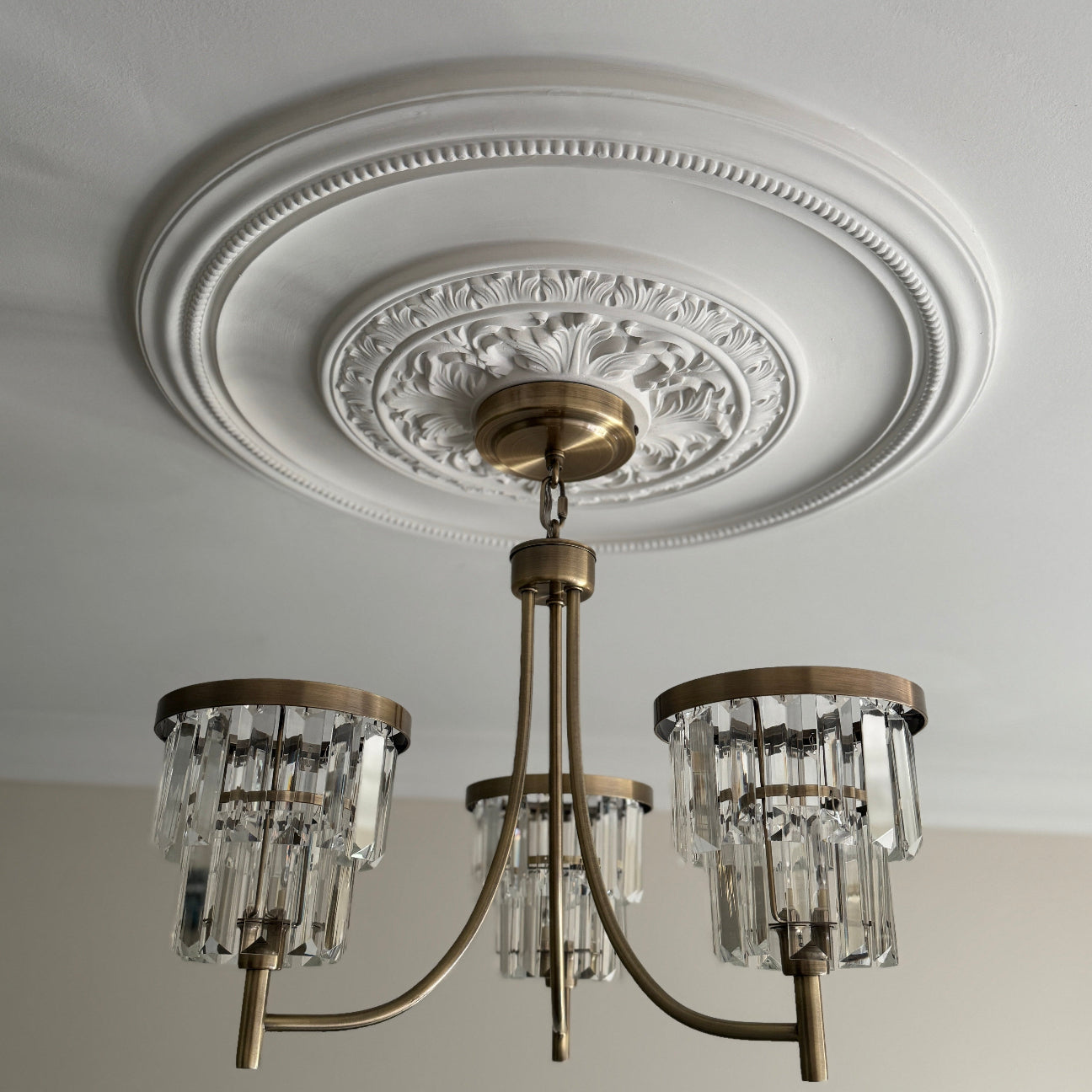 Close up of Acanthus Leaf Plaster Ceiling Rose
