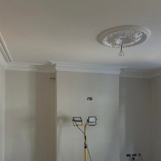 swan neck plaster cornice and swan neck coving during instillation