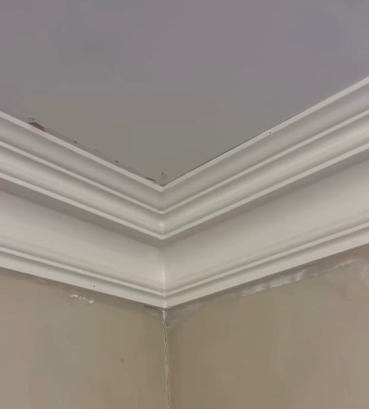 close up victorian swan neck plaster coving 