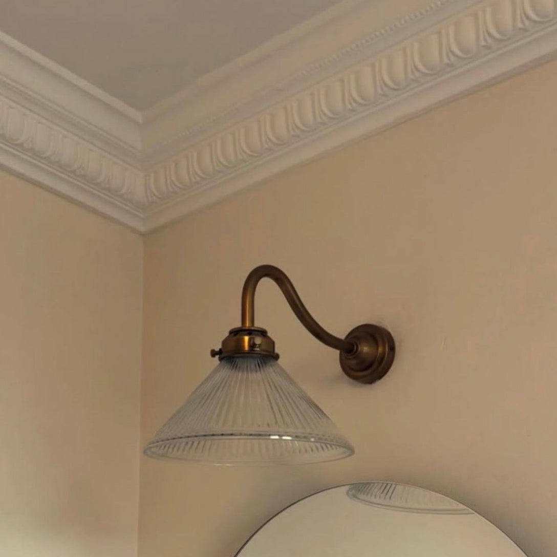 Plaster Coving Egg & Dart 110mm Drop MPC064