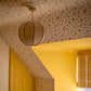 Example of small plaster ceiling rose in bright interior
