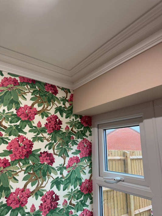 close up swan neck victorian coving