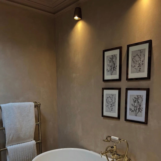 victorian swan neck plaster coving in bathroom