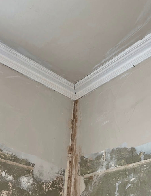 swan neck plaster cornice during fitting