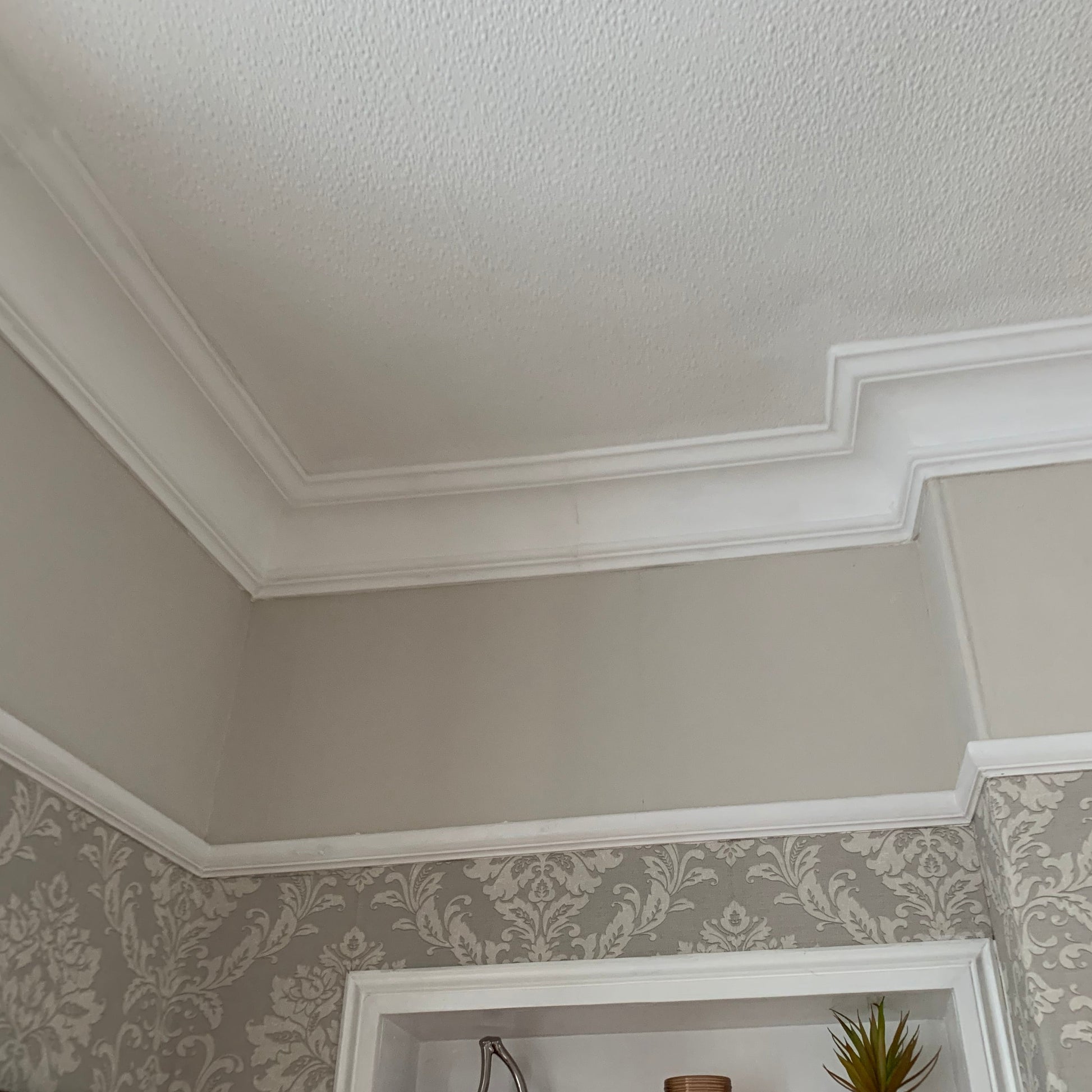 victorian plaster cornice in grey room
