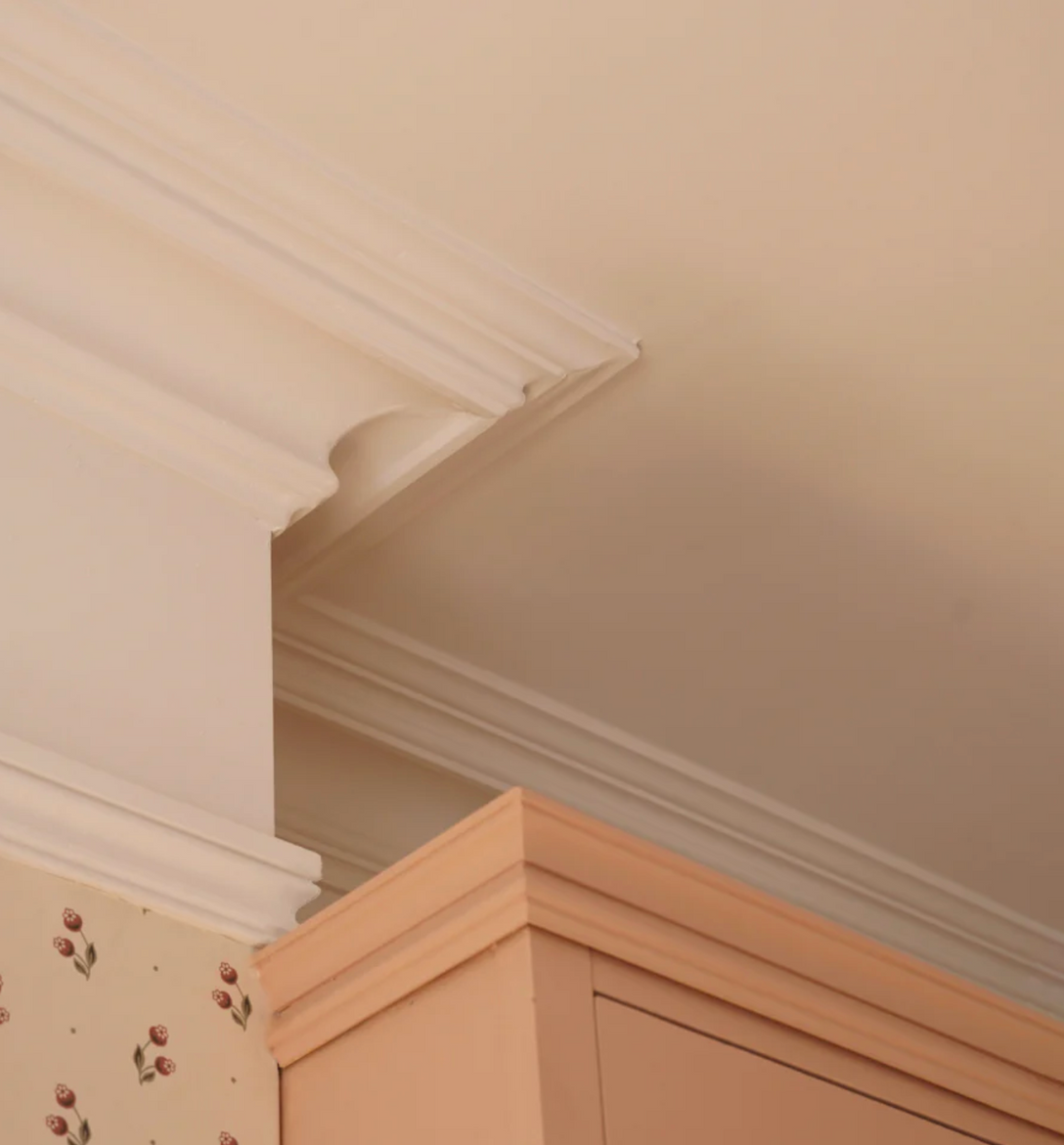 Swan Neck Plaster Coving 125mm LPC030