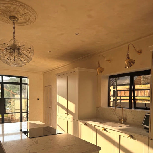 large victorian ceiling rose in open kitchen