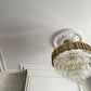 Close up of Large Ornate Plaster Ceiling Rose