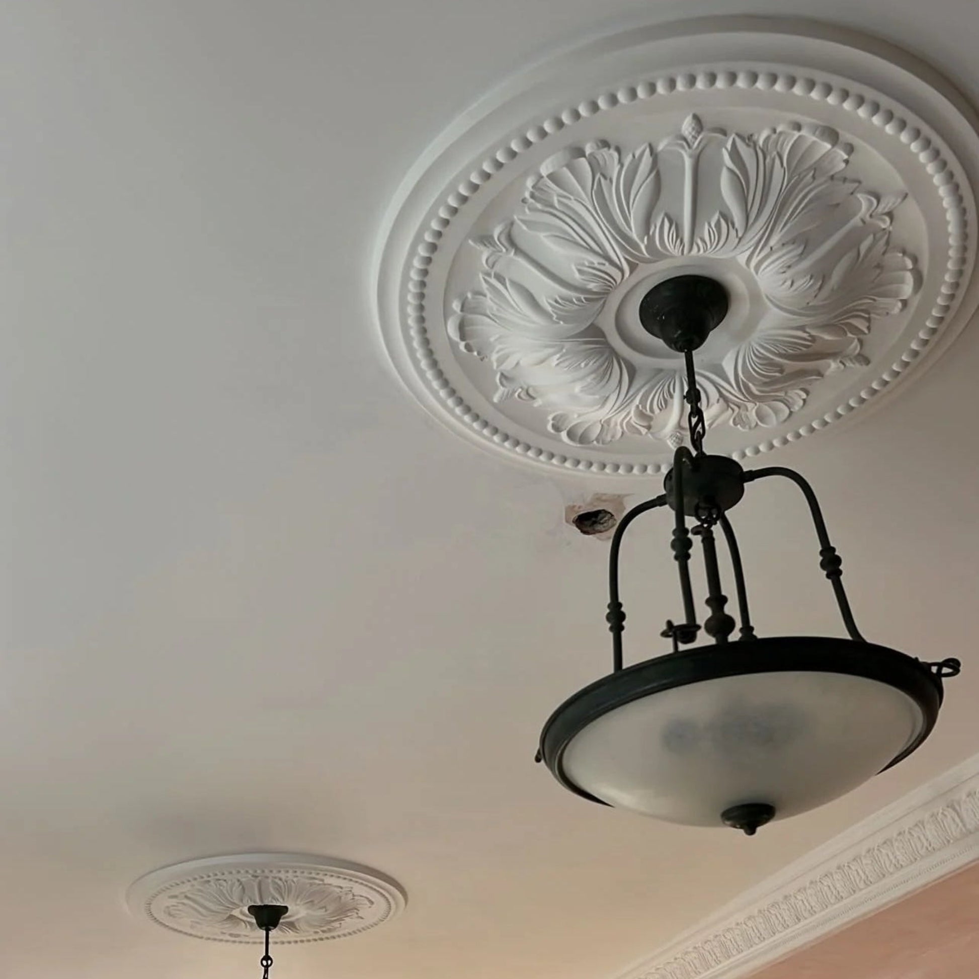 Ornate Plaster Ceiling Rose