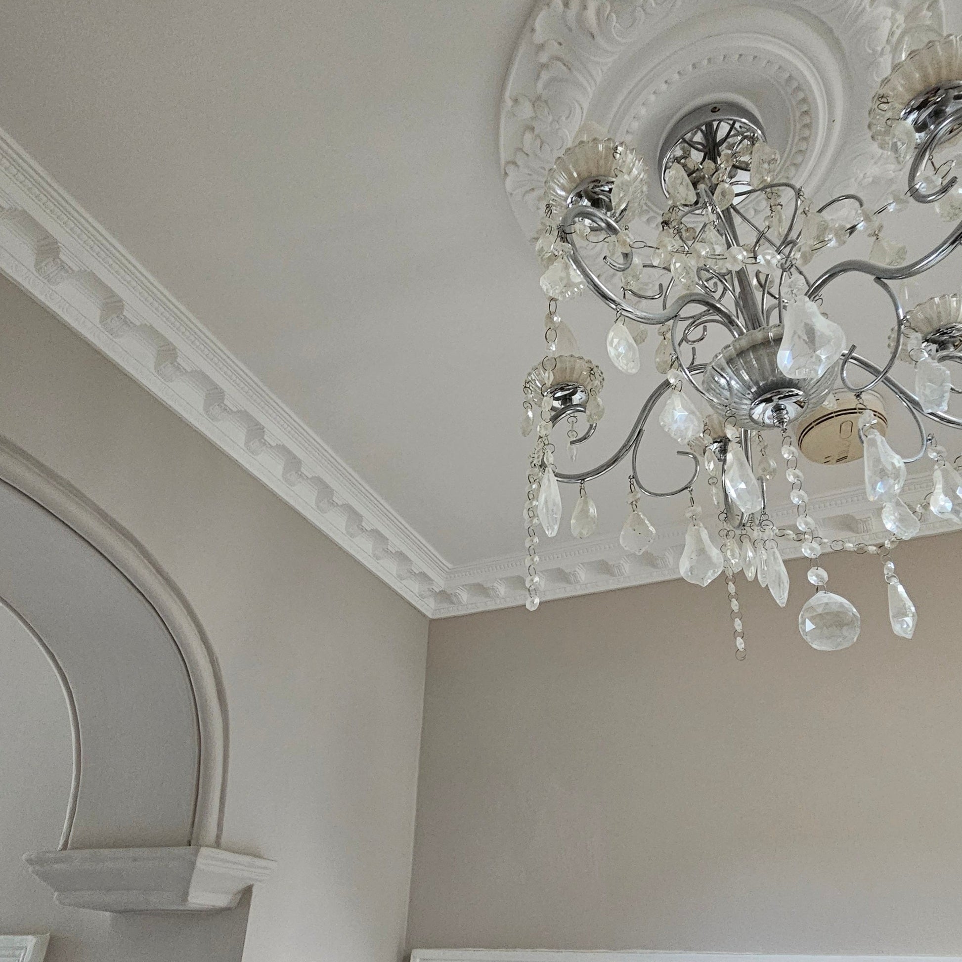 corner joint of victorian plaster cornice shwn in grey hall