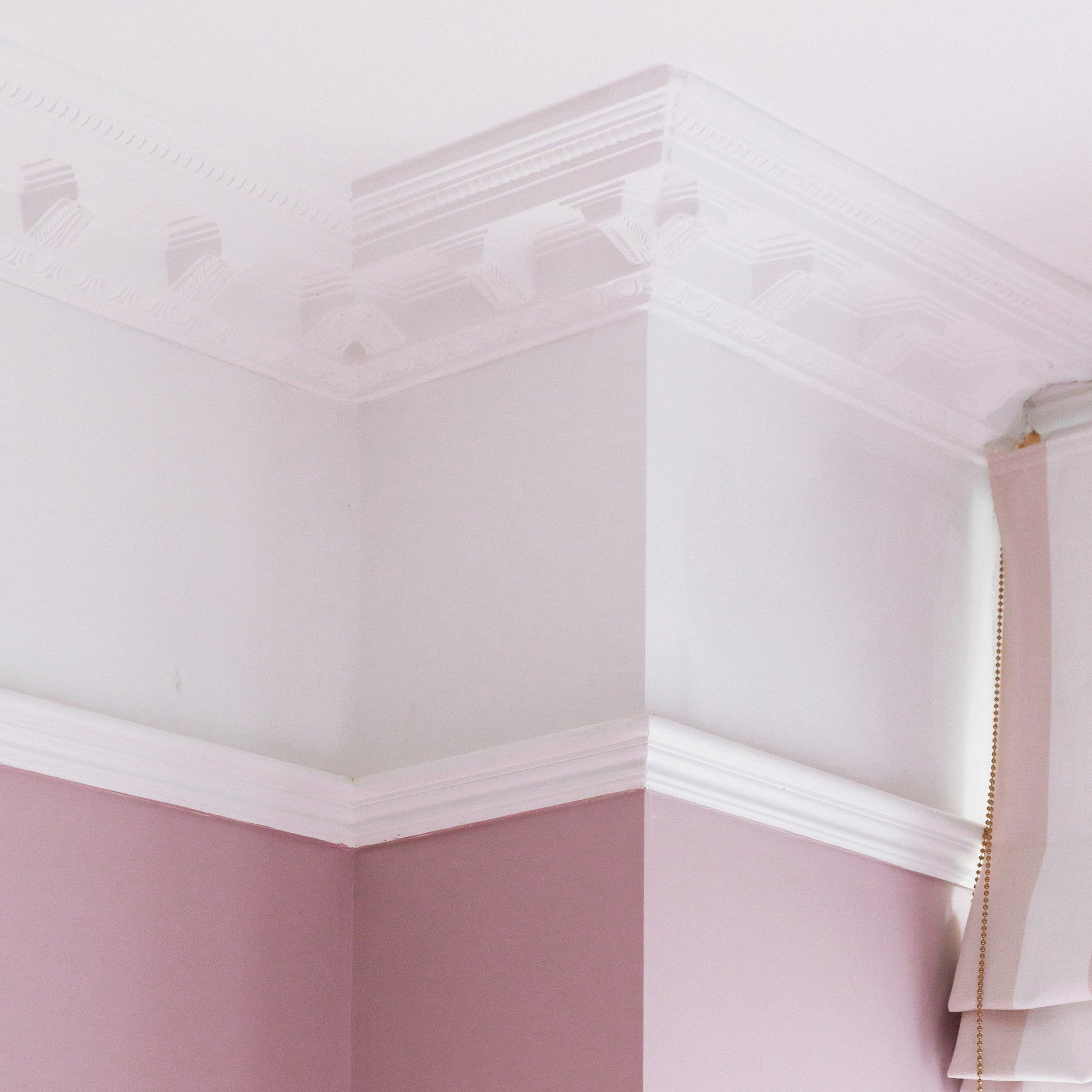 Victorian medallion coving in pink room 