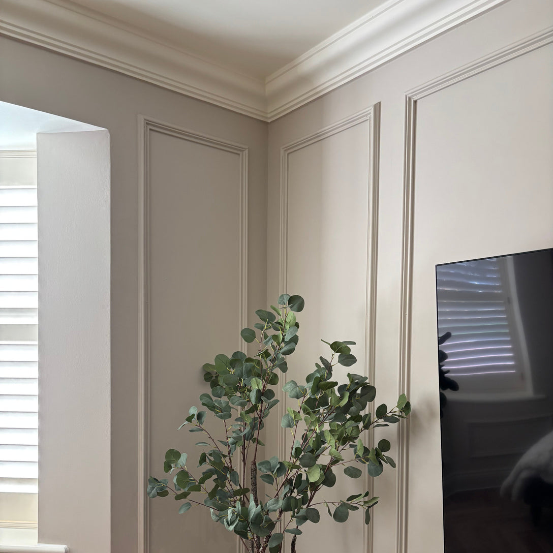 Ogee plaster coving in neutral interior