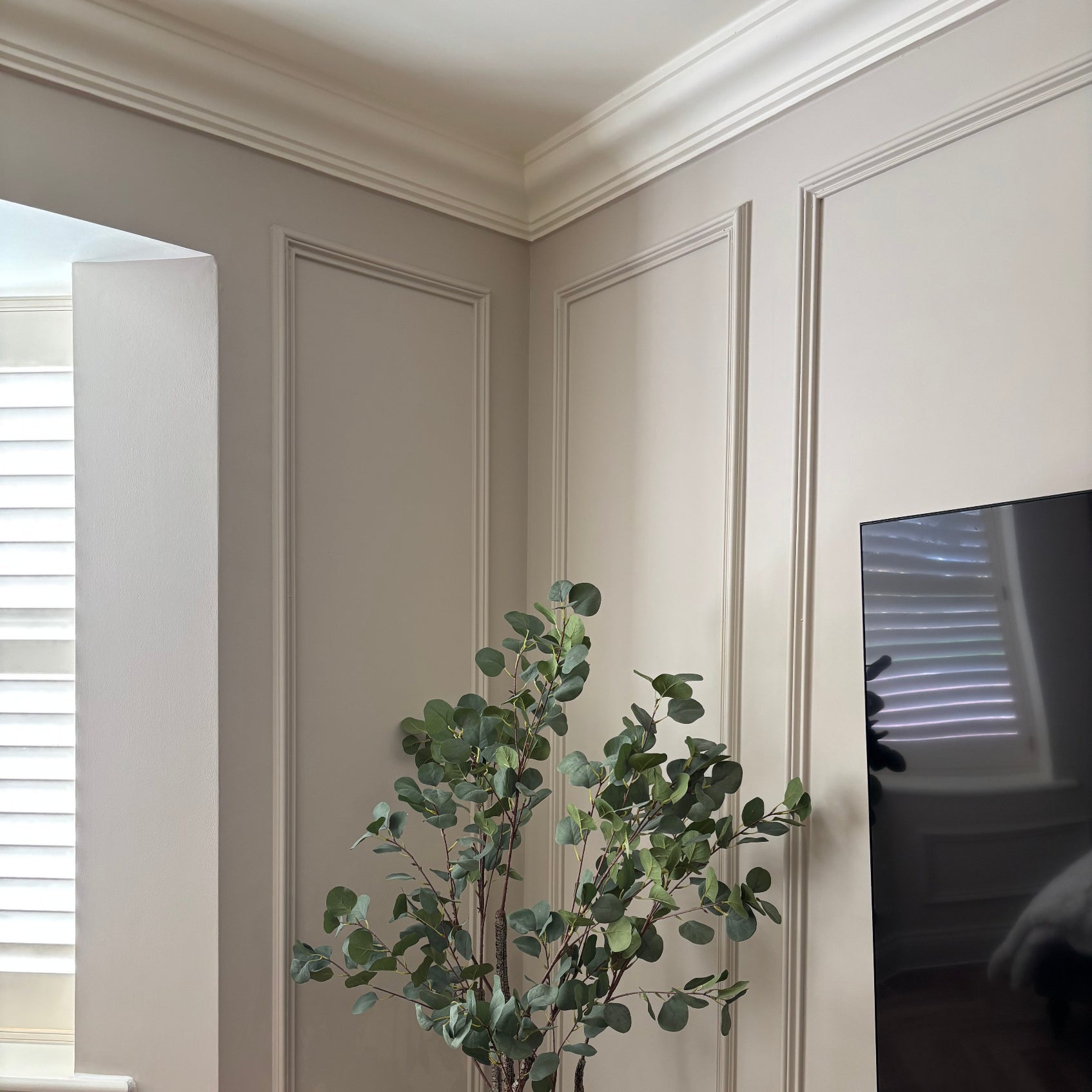 Ogee plaster coving in neutral interior