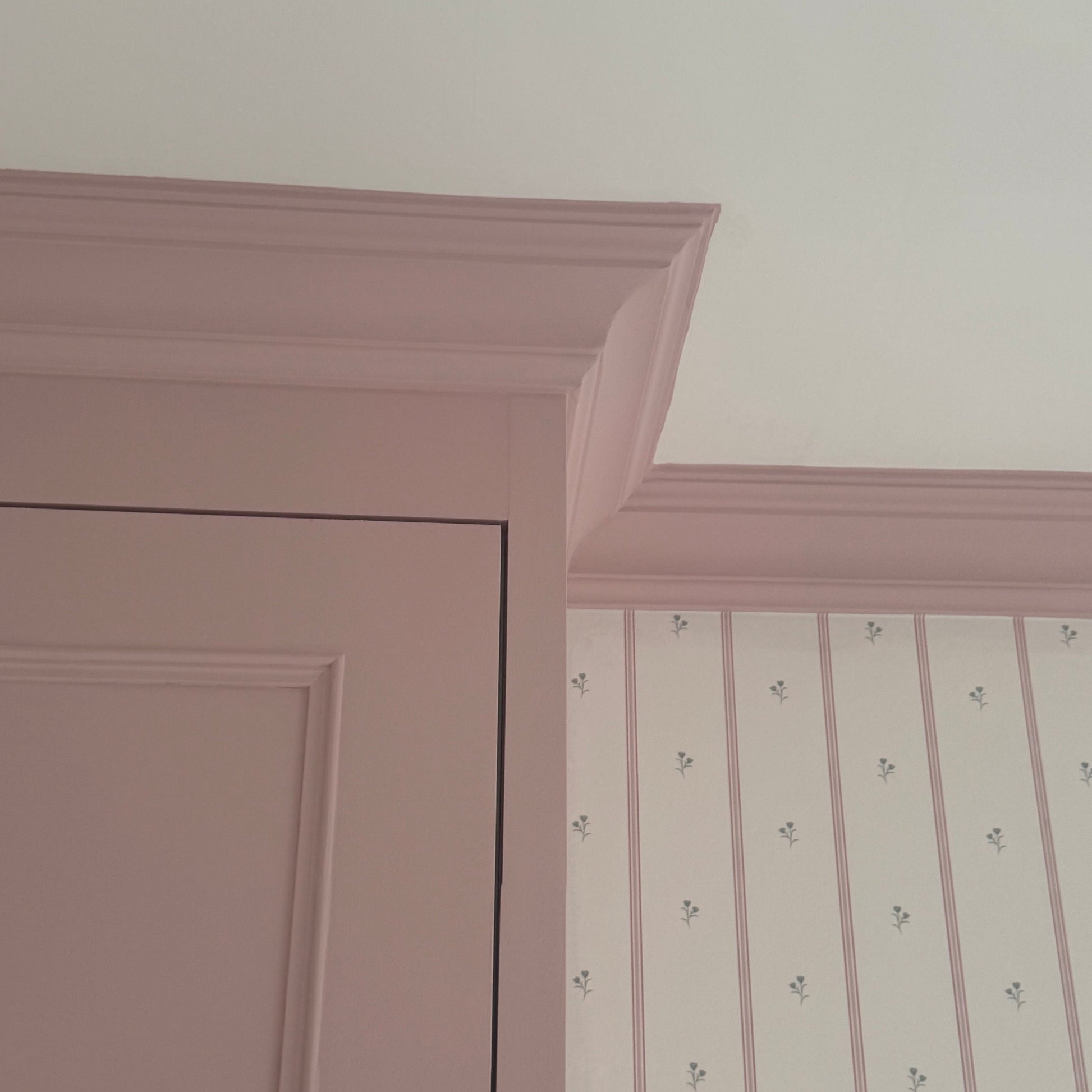 Close up of plaster coving finished in pink