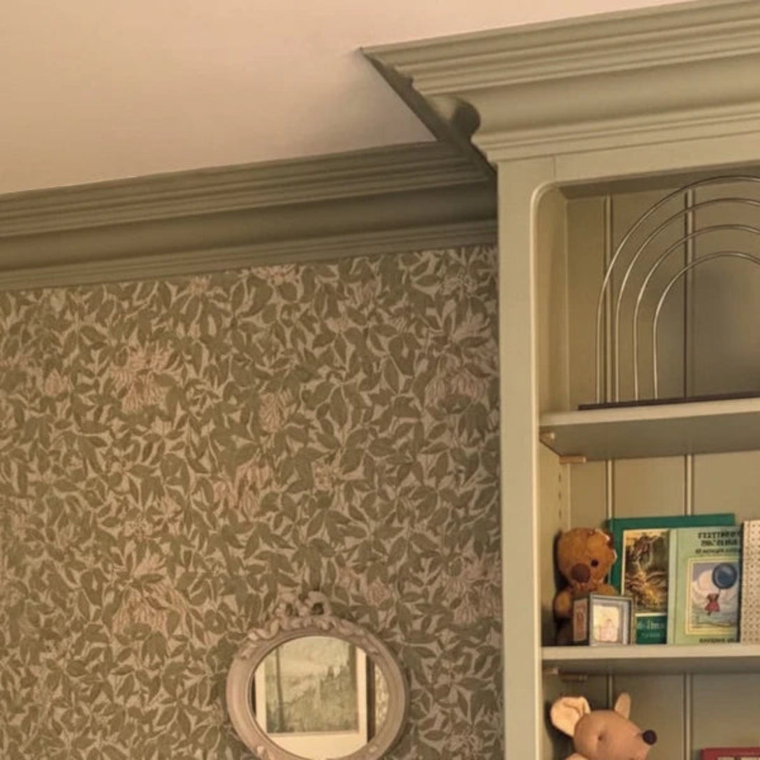 Built in Plaster Coving